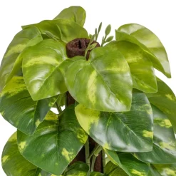 Banak Plantas Decorativas Artificiales*Lanke
